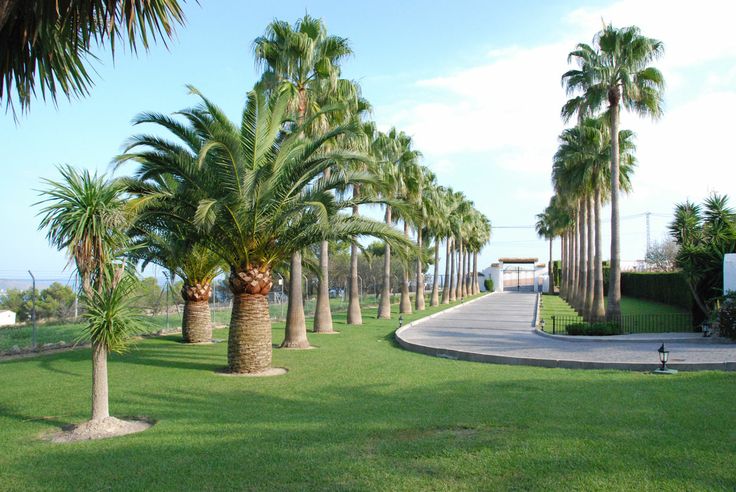 Facilities